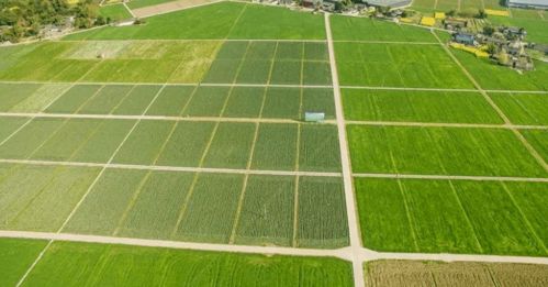 耕地利用知多少 自家耕地建房、建養殖場的法律邊界與設施農業經營指引
